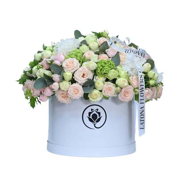 Մեծ Տուփով ծաղիկներ "Mariell" կաթնագույն պիոնանման վարդերով