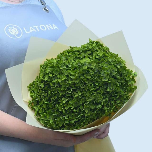 Букет "Green Aura"
