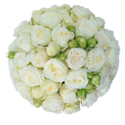 Ծաղկիներով տուփ ‹HERMAN› պիոնավարդերով