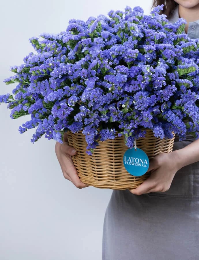 Корзина  ‹DRY BLUE› с лимониумами