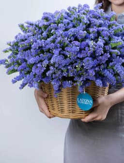 Корзина  ‹DRY BLUE› с лимониумами