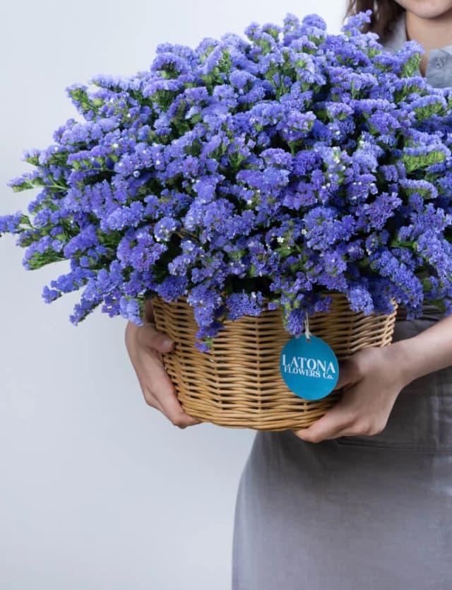 Զամբյուղ  ‹DRY BLUE› լիմոնիումներով