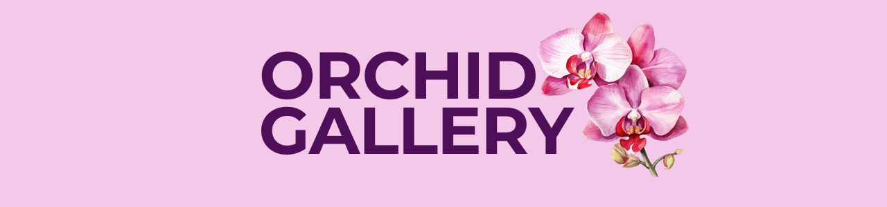 Orchid Gallery