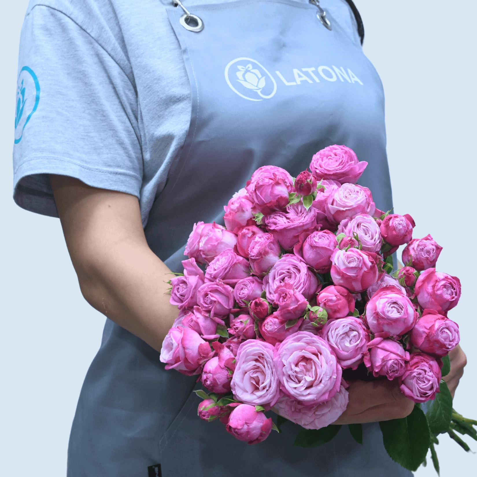 Lady Bombastic peony rose 11 pcs