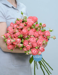 Peony roses ‹Barbados› 9 brunches