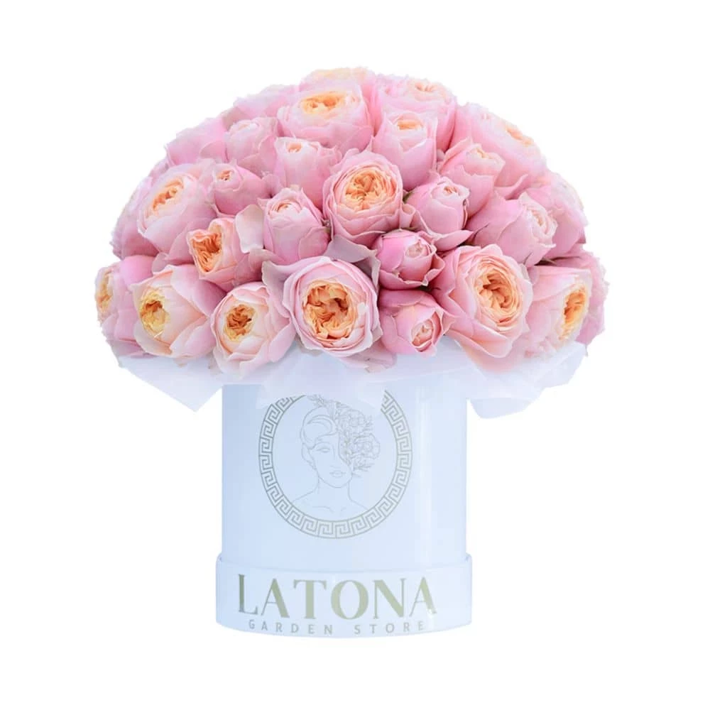 Pink roses Celeano in a box