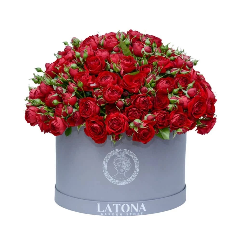 Red roses Triton in a box