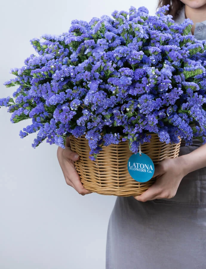 Flower in a Basket ‹DRY BLUE› with limoniums