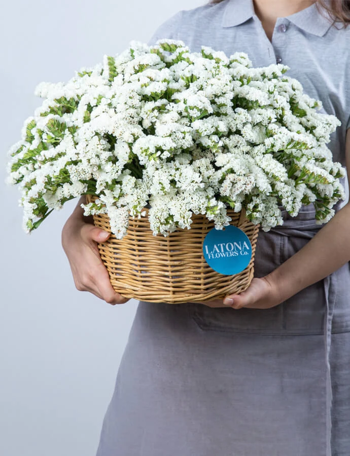 Flower in a Basket ‹DRY WHITE› with limoniums