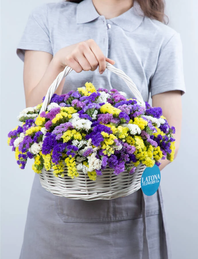 Цветы в корзине ‹LIMONIUM›  со сухоцветами