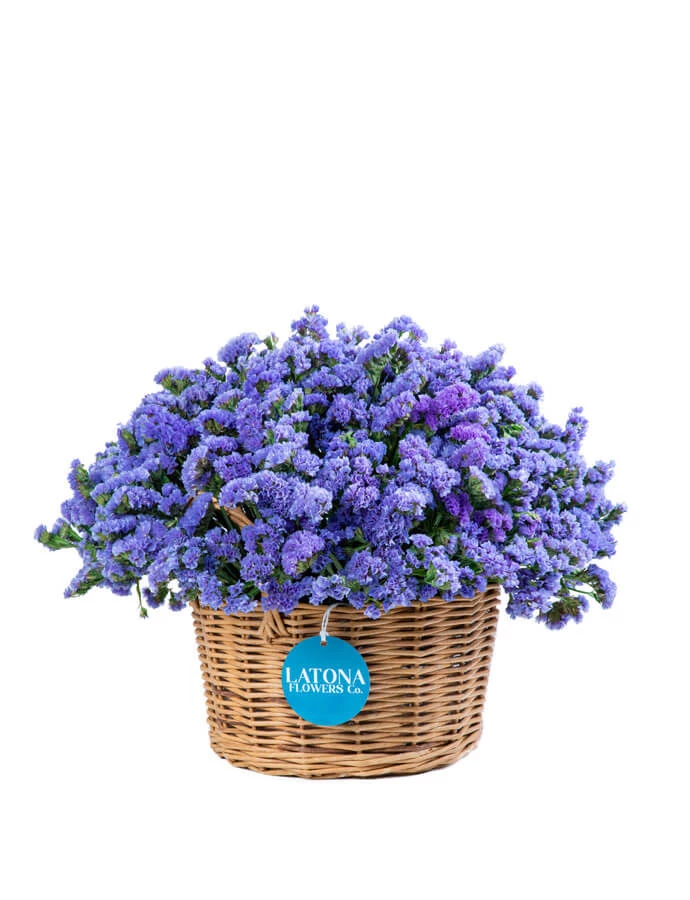 Flower in a Basket ‹DRY BLUE› with limoniums