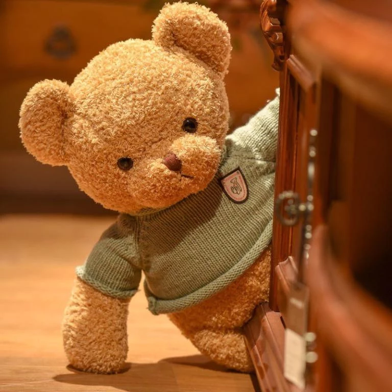 Teddy Bear Plush Toy with Hoodie