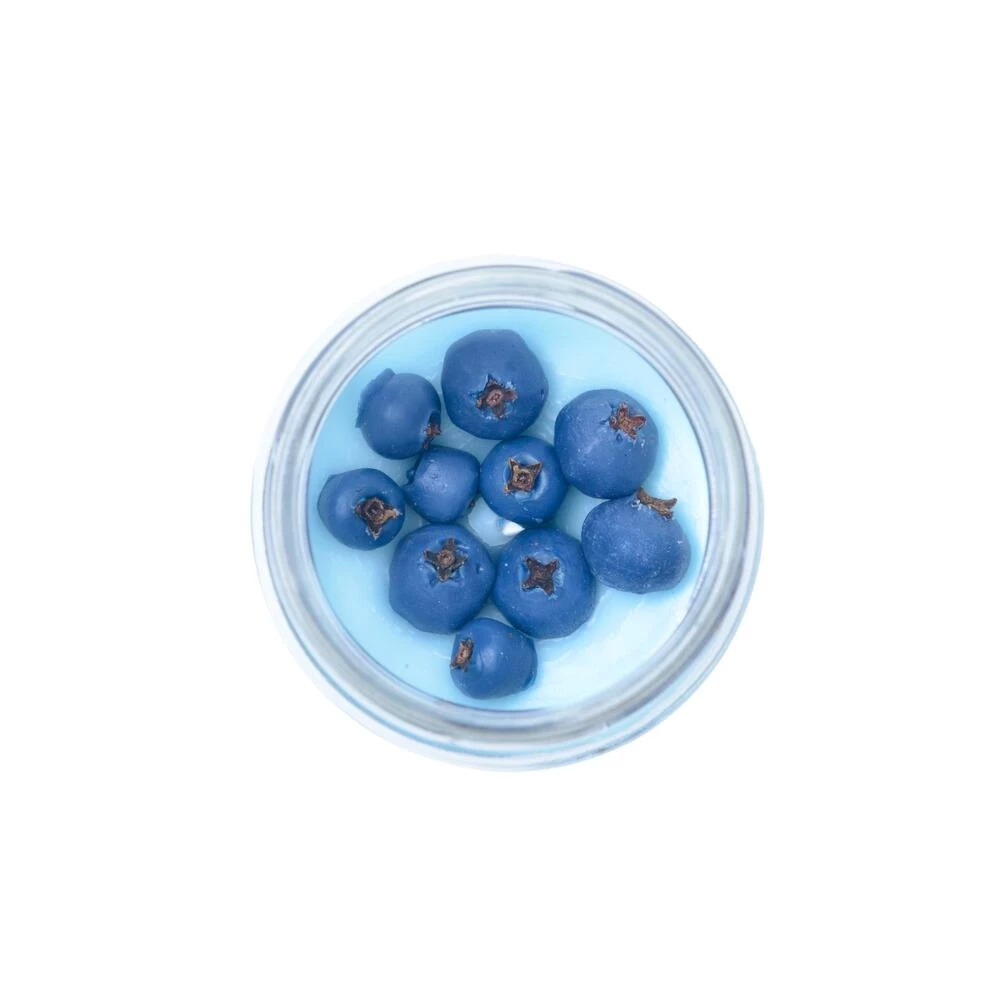 Blueberries Soy Candle